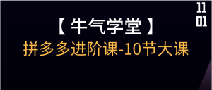 【牛气学堂】拼多多进阶课-10节大课
