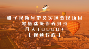 柚子视频号带货实操变现项目，零基础操作养身茶月入10000+【视频教程】