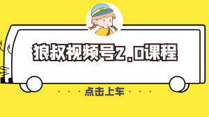 狼叔视频号2.0课程