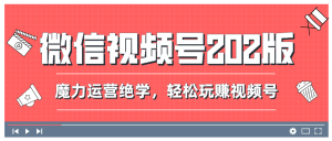 微信视频号2020版：魔力运营绝学，轻松带你玩转视频号（10节视频课）