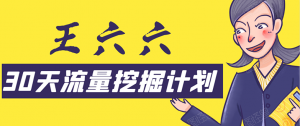 王六六30天流量挖掘计划：脚本化，模板化且最快速有效获取1000-10000精准用户技术