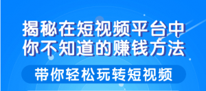 柚子团队课程：揭秘在短视频平台中你不知道的赚钱方法，带你轻松玩转短视频！