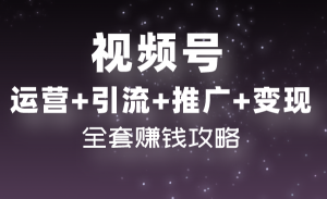 柚子团队内部项目课程：视频号运营+引流+推广+变现，全套赚钱攻略