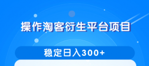 柚子团队内部课程：操作淘客衍生新赚钱模式，项目稳定日入300+