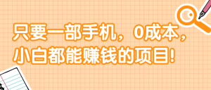 只要一部手机，0成本，小白都能赚钱的项目!【视频教程】