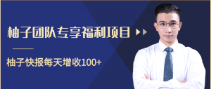 柚子团队内部福利项目课程，柚子快报每天增收100+【视频教程】