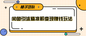 闲鱼引流方法：能一边引流一边挣钱，日引精准粉丝100+【无水印】