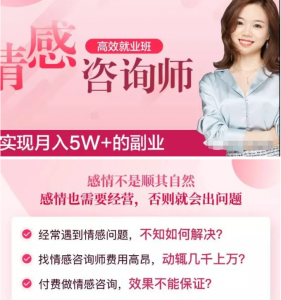 情感咨询师高效就业班18讲音频课，实现月入5W+的副业【音频教程】