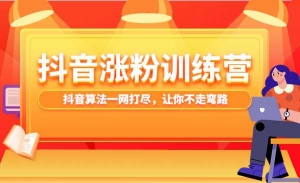 抖音短视频涨粉训练营 掌握抖音涨粉秘密