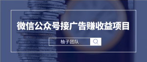 微信公众号接广告赚收益，新手零基础也能操作月入万元的项目【视频课程】