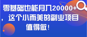 零基础也能月入20000+，这个小而美的副业项目值得做！
