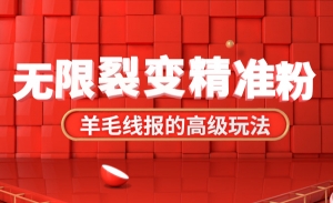 羊毛线报的高级玩法，无限裂变精准粉