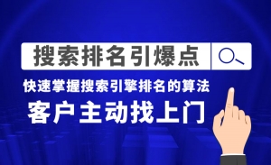 《搜索排名引爆点》快速掌握搜索引擎排名的算法，客户主动找上门
