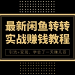 最新闲鱼转转全套实战赚钱课程