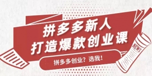 拼多多新人打造爆款创业课：快速引流持续出单，适用于所有新人（无水印）