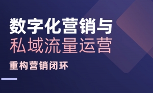 《数字化营销与私域流量运营》 重构营销闭环半年版