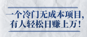 一个冷门无成本项目，有人轻松日赚上万！