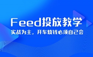 Feed投放教学，实战为主，开车烧钱必须自己会！