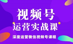 视频号8.0运营实战课 深度运营微信视频号课程