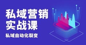 私域流量营销实战课