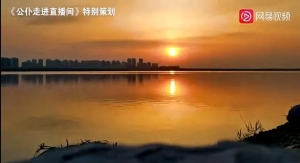 转载自网易视频：东丽湖边草 绵绵思远道