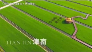 转载自：津云客户端：你好天津 津南区区长带您畅游天津城市森林！