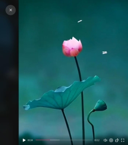 转载自：#夜的钢琴曲五 #唯美意境 #纯音乐