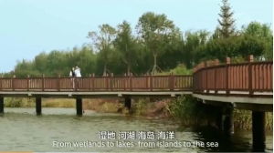 转载自：蓝色海鸥08的作品：滨海新区区长杨茂荣推介天津生态城