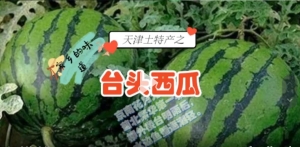 乾隆皇帝下江南，三次驾临台头，就为了吃一口台头西瓜，天津市静海县特产，中国国家地理标志产品。