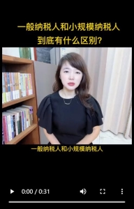 一般纳税人和小规模纳税人到底有什么区别