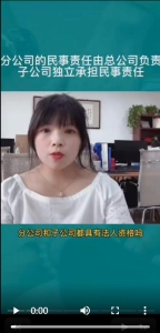 分公司的民事责任由总公司负责子公司独立承担民事责任