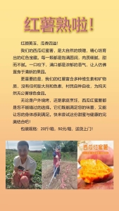 红颜美玉，西瓜红薯香四溢！