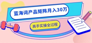 2020最新无货源店群项目，蓝海词产品矩阵月入30万