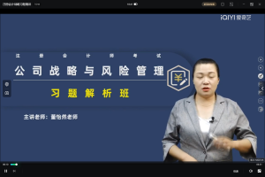 注册会计：战略习题精讲